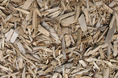 biomass boilers Pencoed